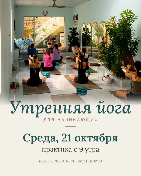 Morning Yoga for Beginners – Wednesday Class