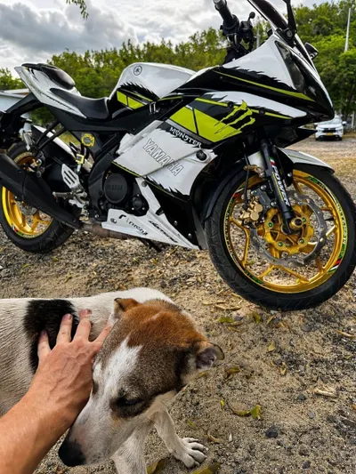 야마하 R15v2 2015 – 150cc 스포츠바이크, 32,000 km