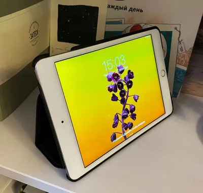 Apple iPad mini 4, 64 GB, used