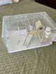 Spacious Hamster Cage with Accessories