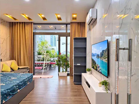 1-bedroom premium apartment for rent near 2/4 Square, 15M VND/month