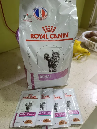 Dry & Wet Cat Food for Kidney Issues – 1.8kg + 4 Packs – 800K VND