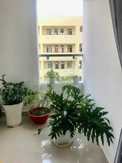 3-Bedroom Apartment in Napoleon Castle, Vĩnh Hòa – 14M VND/month, Furnished, Pet-Friendly