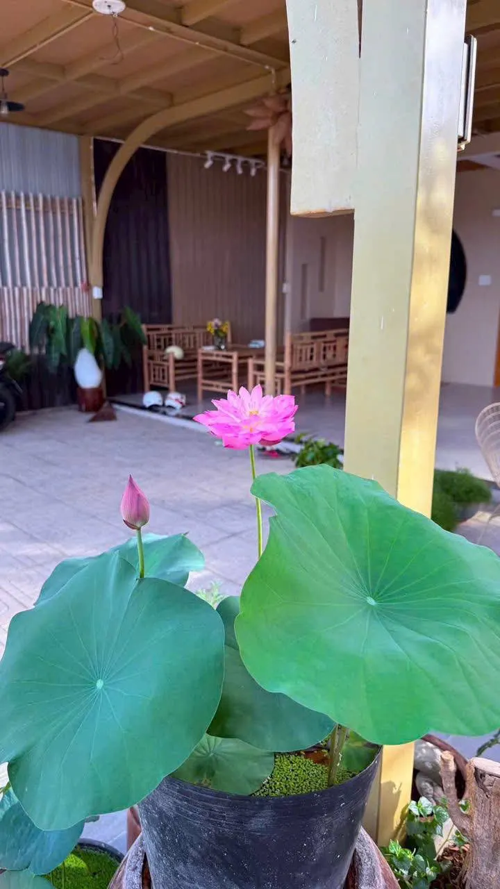 五居室河景别墅出租，尼亚trang西部 — 4/7