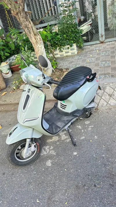 Vegas 50cc 가솔린 스쿠터 판매
