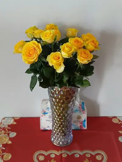 Bộ 6 món đồ gia dụng và đồ dã ngoại đã qua sử dụng, phía bắc Nha Trang — 8/8