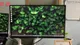 ASUS ROG Strix XG27ACS Monitor 27" WQHD 180 Hz