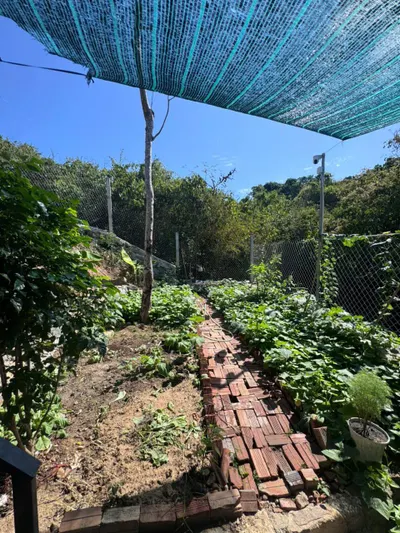 Nhà 2 phòng ngủ trên đồi có view biển cho thuê, phía bắc Nha Trang — 5/5