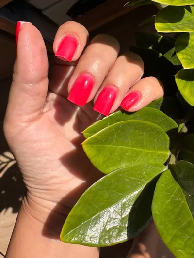 Manicure and pedicure service by Alena (15 years experience)