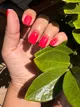 Manicure and pedicure service by Alena (15 years experience)