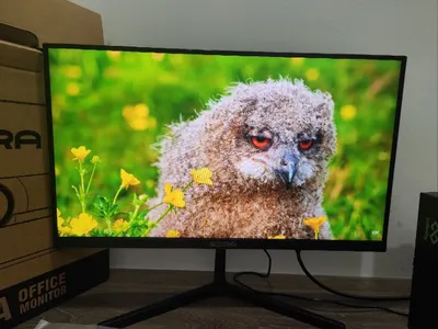 Edra EGM22F100H 22" IPS monitor for sale, north Nha Trang — 2/2