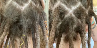 Dreadlocks and braiding services, visiting for two months from Nov 3 — 6/6