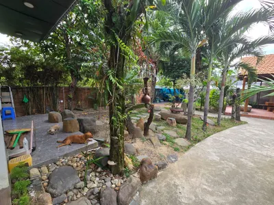 3-Bedroom House on West Nha Trang – 30M VND/month, 300m²