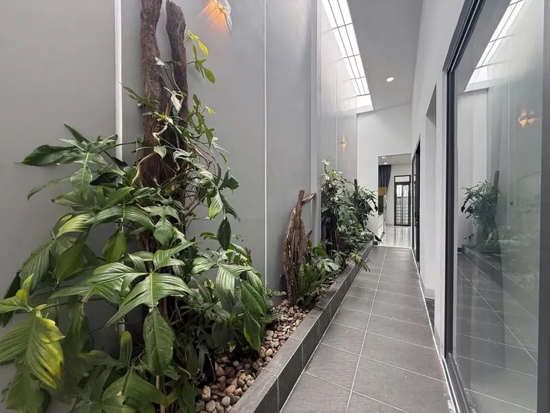 Brand-new 2-bedroom house for rent on Newton Street, Hon Nghe, 18M VND/month — 3/10